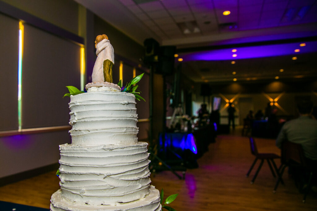 wedding-dj-brandon-mb-expressions-entertainment-kitko-photography